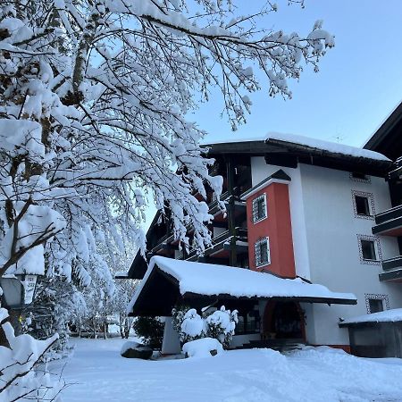 B&B In Seefeld 제펠드 인 티롤 외부 사진