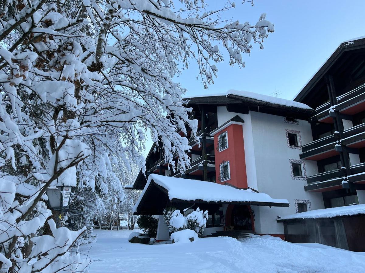 B&B In Seefeld 제펠드 인 티롤 외부 사진